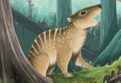 İngiltere’de bir öğrenci 145 milyon yıllık fosil buldu