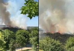 Sultangazi Kent Ormanı'ndaki yangın kontrol altına alındı