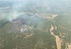 Muğla’da çıkan orman yangını kontrol altında