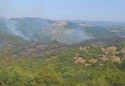 Balıkesir'deki orman yangını 2'nci gününde