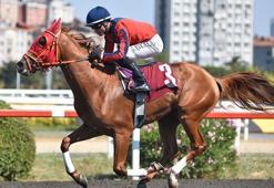 Pertevniyal Koşusu'nu Ömürünoğlu isimli at, jokeyi Gökhan Kocakaya ile kazandı