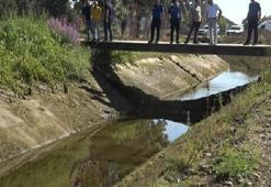 Sulama kanalında kadın cesedi bulundu