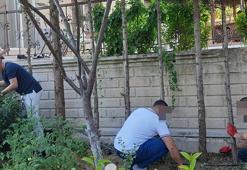 Madde bağımlılarını ücretsiz tedavi edildiği dernekte tek ilaç 'sevgi'