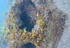 Ordu’da, denizde patlamış mayın bulundu