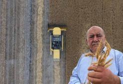 Konya Ovası’nda, kuraklık ve don nedeniyle yaklaşık 1 milyon ton rekolte düşüşü bekleniyor