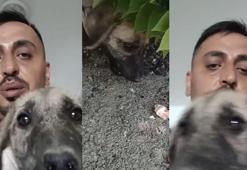 Ağır hasarlı binaya girip yavru köpeği kurtardı