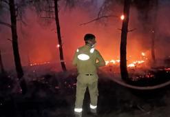 Sakarya'da orman yangını; Hayvanların acı içerisindeki sesleri yürekleri dağladı
