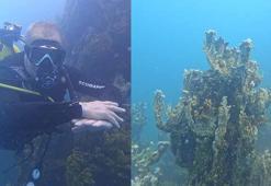 Van Gölü’nde 70 metrelik yeni mikrobiyalit bulundu