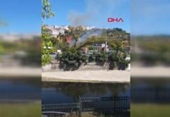 Kağıthane'de ağaçlık alanda yangın; polis itfaiye hortumuyla, çevredekiler damacanayla müdahale etti