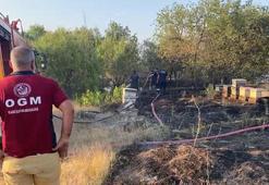 Elazığ’da anız yangını; arı kovanları ve ağaçlar zarar gördü