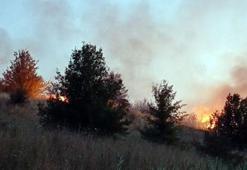 Tekirdağ’da ot yangını