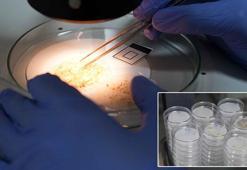 Mikroplastik tehlikesi gözle görülmüyor, hayatı tehdit ediyor