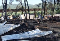 Çiftliğinde çıkan yangında 95 hayvanı öldü