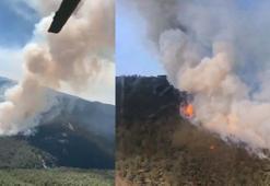 Eskişehir’de orman yangını