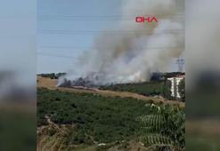 Başakşehir'de otluk alanda çıkan yangın söndürüldü