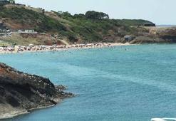 Sıcak havadan bunalanlar Riva 2’nci Koy Plajı'na akın etti