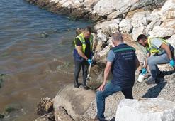 Denize kanalizasyon deşarj eden Yalova Belediyesi'ne 1,3 milyon lira ceza