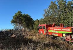 Sakarya'nın Adapazarı ve Hendek ilçesinde orman yangını çıktı