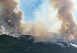 Eskişehir’de orman yangını