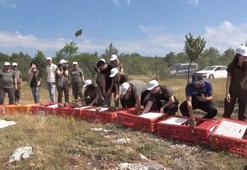 Kastamonu'da 2 bin 100 kınalı keklik doğaya salındı