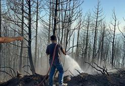 Sakarya Hendek'teki orman yangını kontrol altında