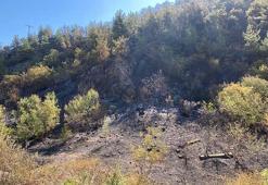 Karabük'te orman yangınına müdahale sürüyor; 55 hektar alan zarar gördü