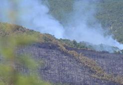 Eskişehir'deki orman yangını 2'nci gününde