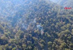 Karabük'te orman yangınına müdahale sürüyor; 55 hektar alan zarar gördü