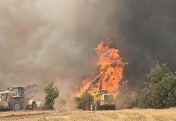 Denizli'deki maki yangını kontrol altında