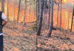 Şube müdürünün, alevlerin arasında kalan orman bölge müdürü ve ekibini kurtarma çabası kamerada