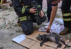 Yanan evini görünce bayıldı, dumandan etkilenen kedisine itfaiye eri oksijen verdi