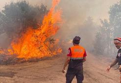Eskişehir'deki orman yangını 2'nci gününde
