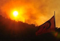 Manisa'da orman yangını