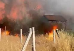 İzmir’de tarım arazisindeki yangında 8 ev zarar gördü