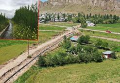 5 bin kilometre sulama hattı ile 230 bin hektar suya kavuştu; hedef 1 milyon 200 bin hektar