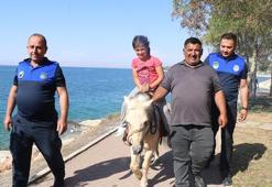 Atlı zabıtanın 'Fındık'ına çocuklardan yoğun ilgi