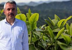 Vali Baydaş: Çay üreticisinin zarar göreceği sürece müdahil olacağız