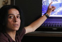 Tekerlekli sandalyedeki engelli kadına darp olayına tutuklama