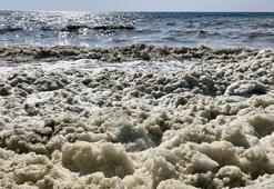 İskenderun Körfezi'nde köpüklenme: Fitoplankton patlaması yaşanıyor, müsilajla karıştırılmamalı