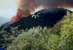 Meclis üyesine yangın paylaşımı nedeniyle gözaltı