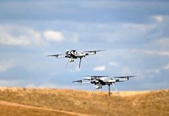 İHA KARGU'lardan sürü operasyonu