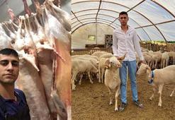 Yüksek kar vaadiyle hayvan toplayıp besicileri dolandırdı