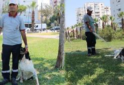 Temizlik görevlisinin sokak köpeği ile bağı dikkat çekiyor: O benim 3'üncü çocuğum