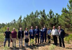 Altınbaş Üniversitesi'nden orman şehitleri için 10 fidan