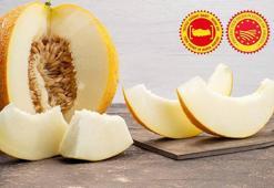 Mut zeytinyağı ve Kırkağaç kavunu AB'de tescillendi