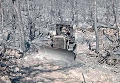 10 orman savaşçısının şehit olduğu alanın fotoğrafları ortaya çıktı