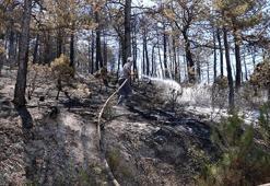 Eskişehir'de çıkıp, Afyonkarahisar'a sıçrayan yangın kontrol altında