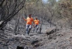 Sakarya'da yangınlardan etkilenen can dostlar için seferberlik