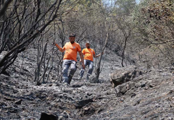 Sakarya'da yangınlardan etkilenen can dostlar için seferberlik