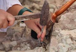 Çankırı'da Çorakyerler Omurgalı Fosil Lokalitesi'nde 2025 kazıları başladı